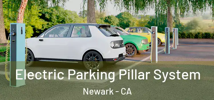 Electric Parking Pillar System Newark - CA