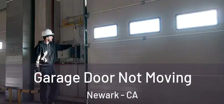  Garage Door Not Moving Newark - CA