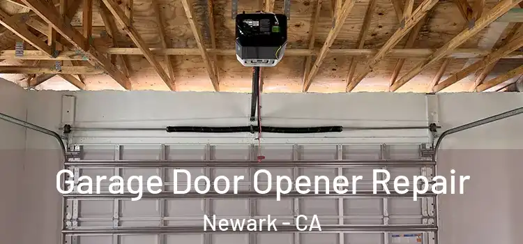  Garage Door Opener Repair Newark - CA
