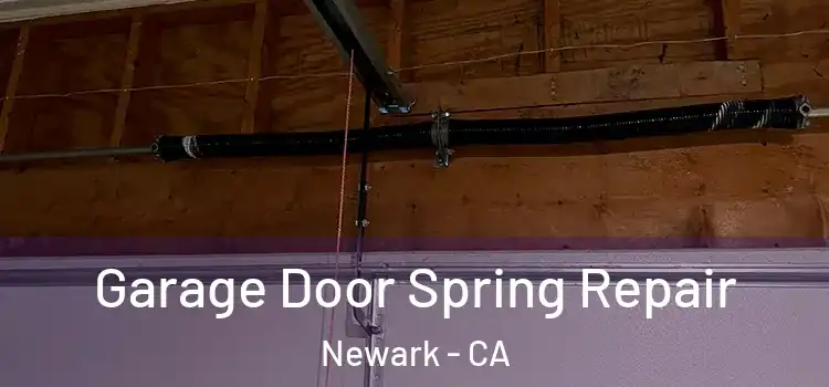  Garage Door Spring Repair Newark - CA