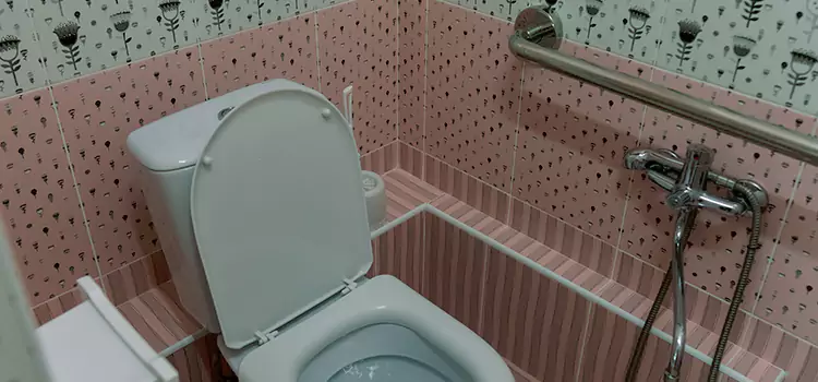 Meeting Diverse Needs With Accessible Restroom Solutions in Newark, CA