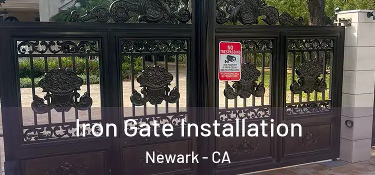  Iron Gate Installation Newark - CA