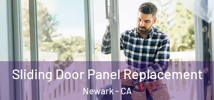  Sliding Door Panel Replacement Newark - CA