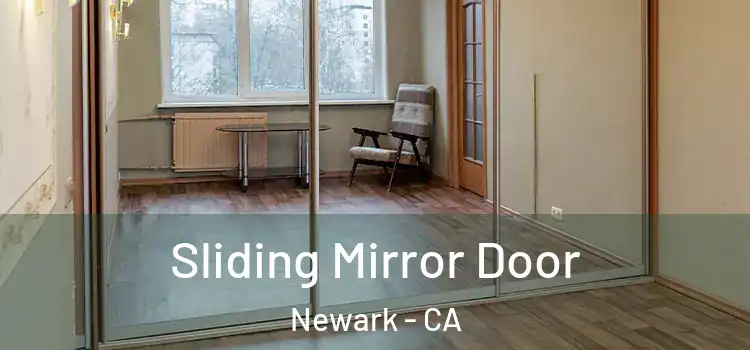  Sliding Mirror Door Newark - CA